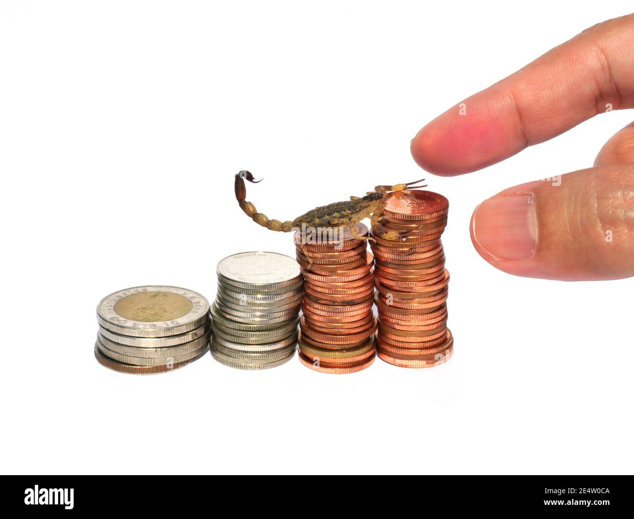 Scorpion arrampicandosi sul mucchio di monete isolato su sfondo bianco, raccogliendo a mano denaro da quattro pile fila di monete, pericolo sulla rotta commerciale Foto Stock