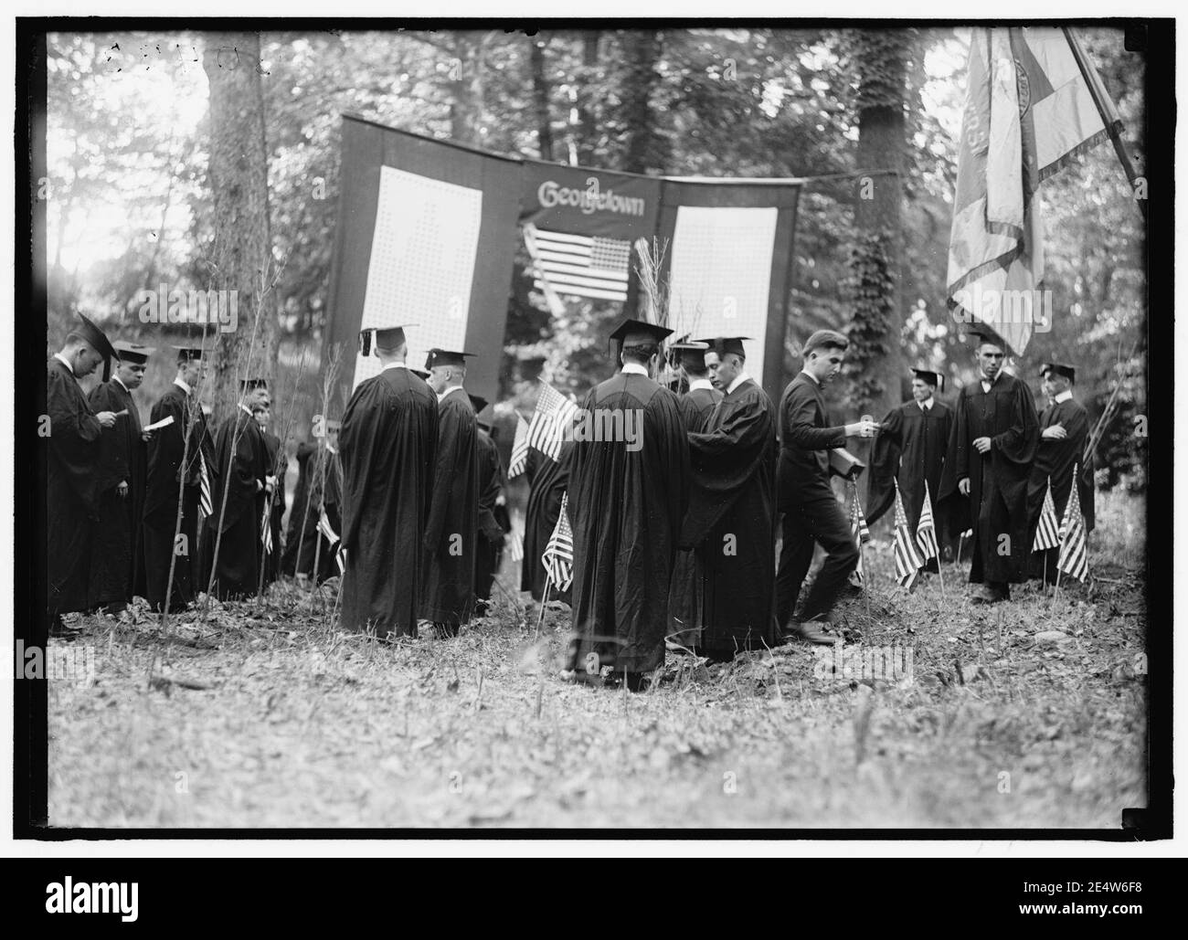 MEMORIAL alberi. MEMORIAL la piantumazione di alberi presso la Georgetown University Foto Stock