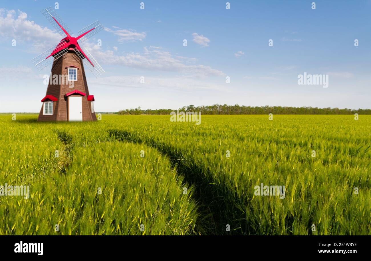 Mulino a vento in un campo di grano Foto Stock