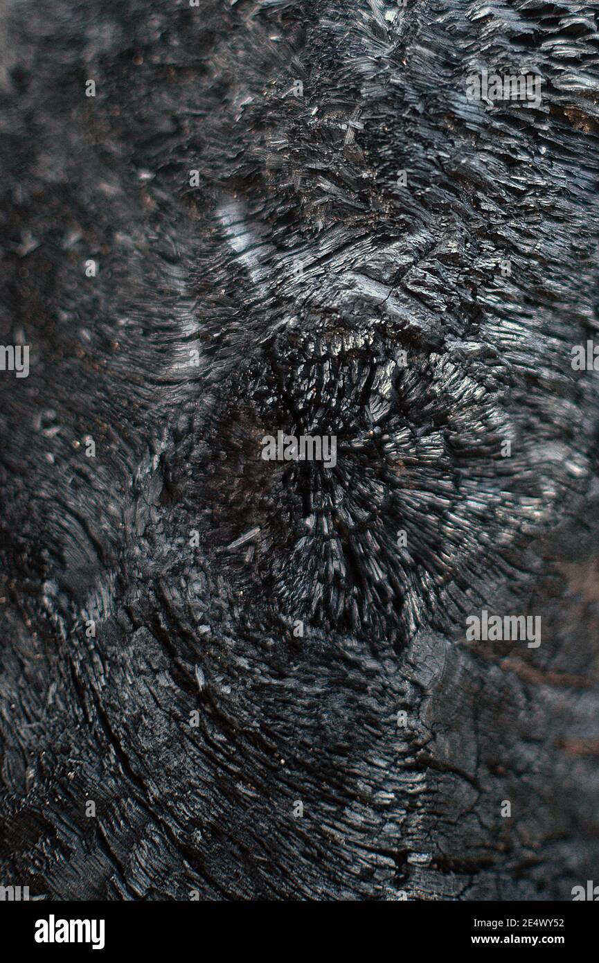 Legno carbonizzati Foto Stock