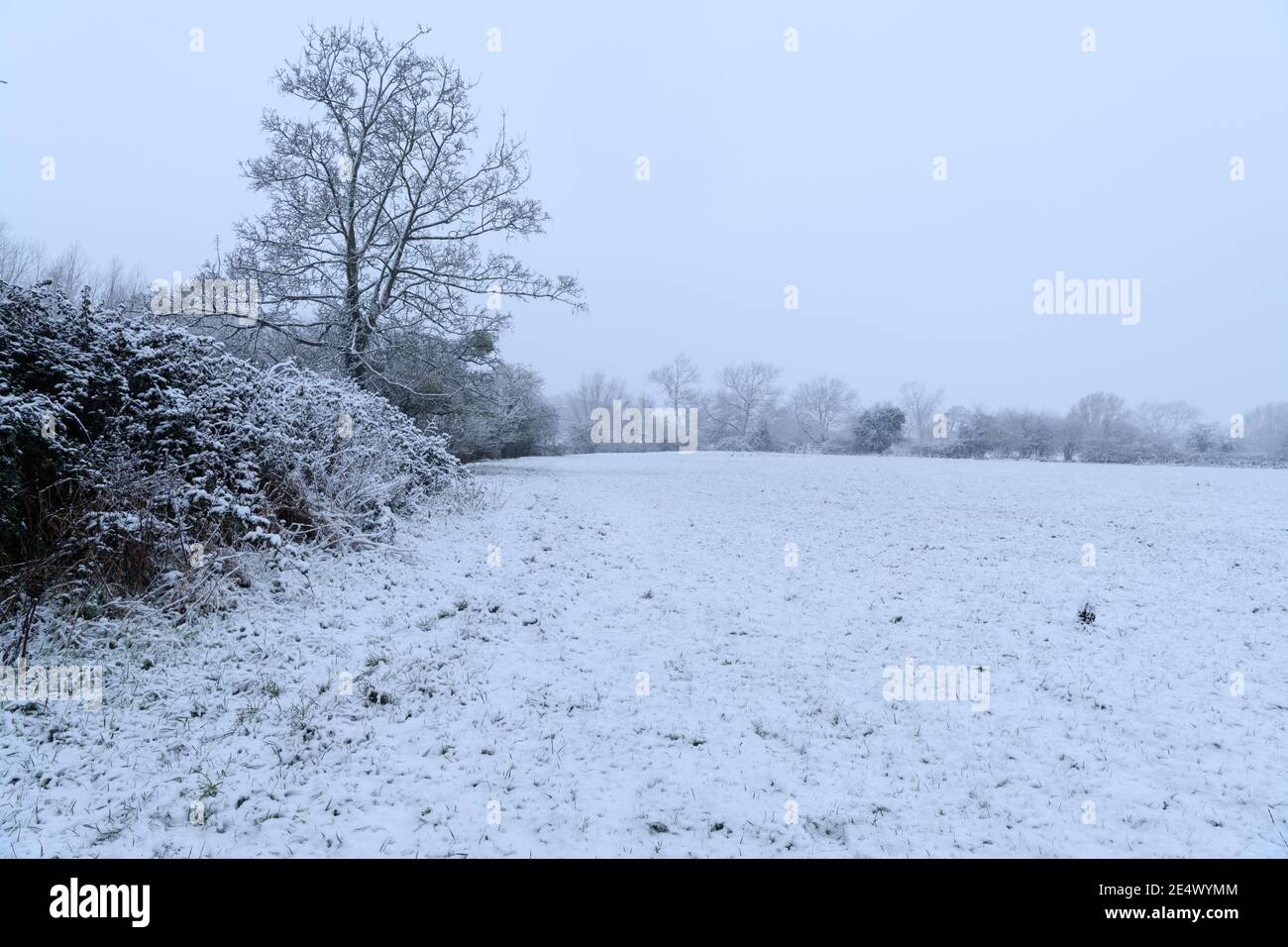 Paesaggio rurale invernale con neve Foto Stock