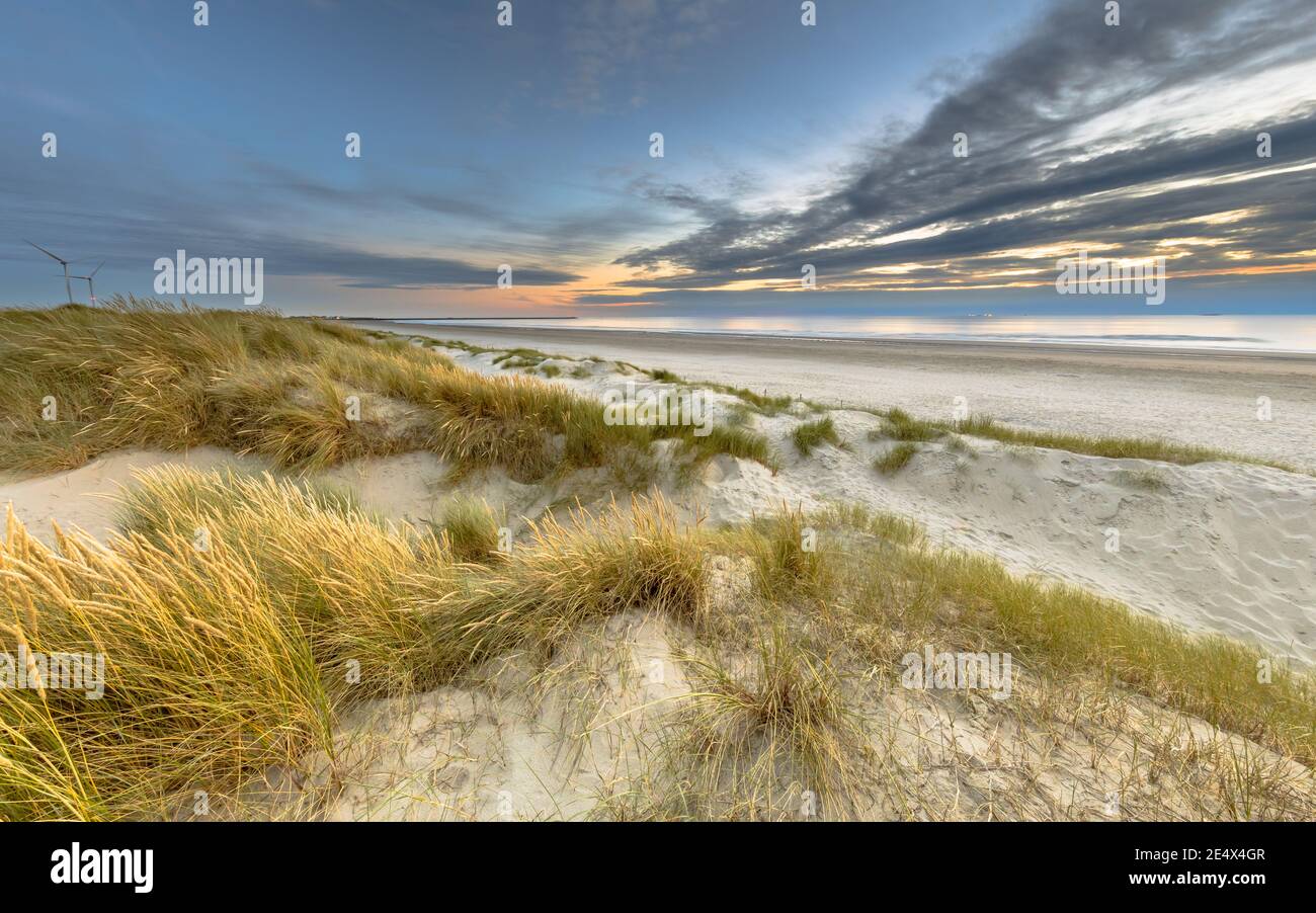 Vista panoramica della duna di sabbia sulla costa del mare del Nord al tramonto vicino Wijk aan Zee, provincia Noord Holland, Paesi Bassi. Paesaggio scena di europeo n Foto Stock
