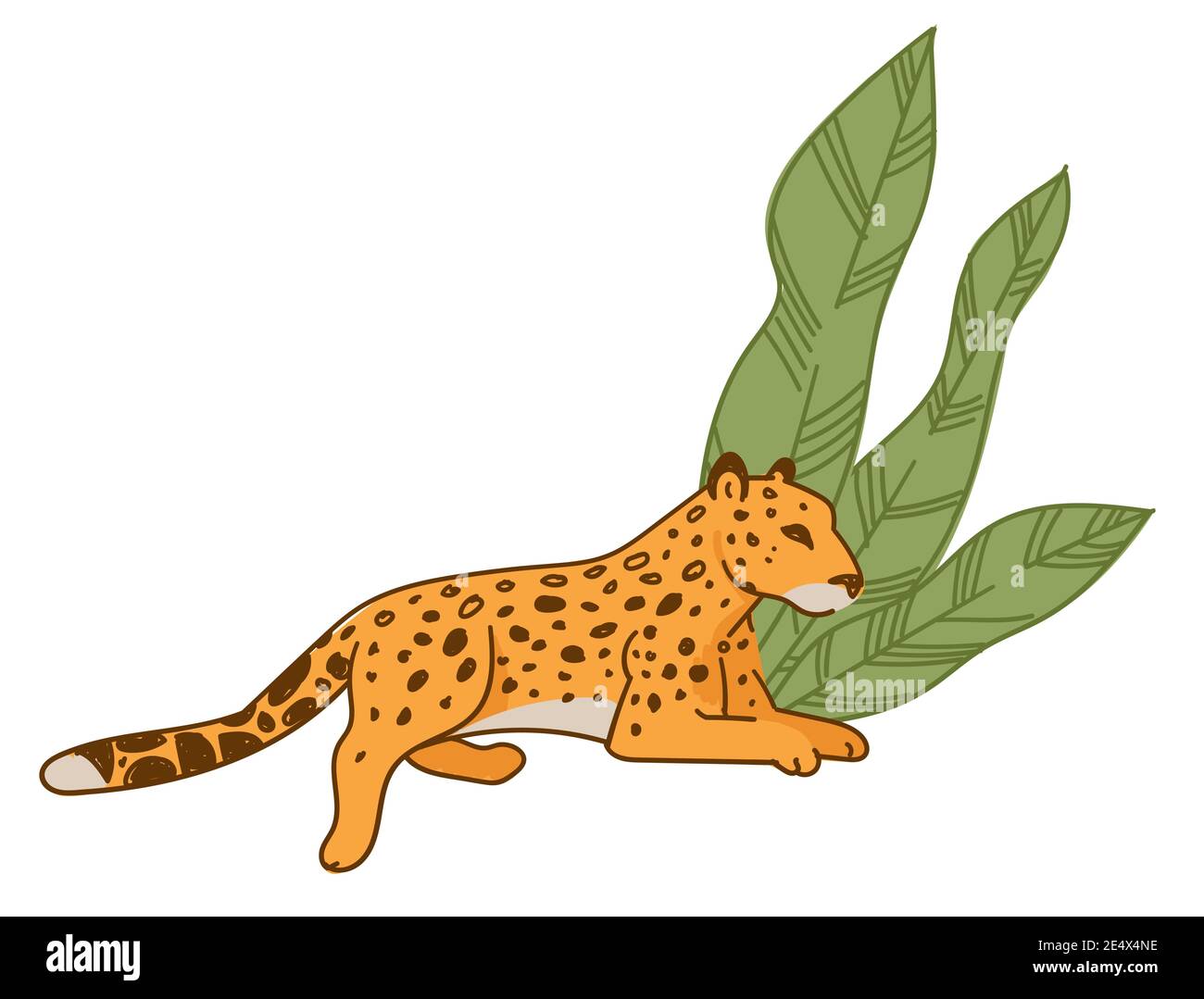Leopardo o ghepardo che riposa sotto la flora delle foglie larghe Illustrazione Vettoriale