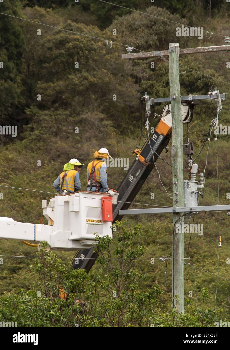 Linesmen su una piattaforma di commissionatore di ciliegio che lavora su cavi di alimentazione elettrica ad alta capacità. Queensland, Australia. Foto Stock