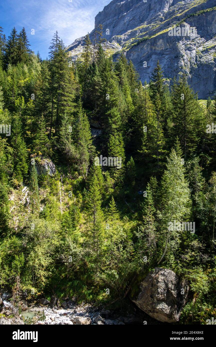 Paesaggio montano e forestale a Pralognan la Vanoise. alpi francesi Foto Stock