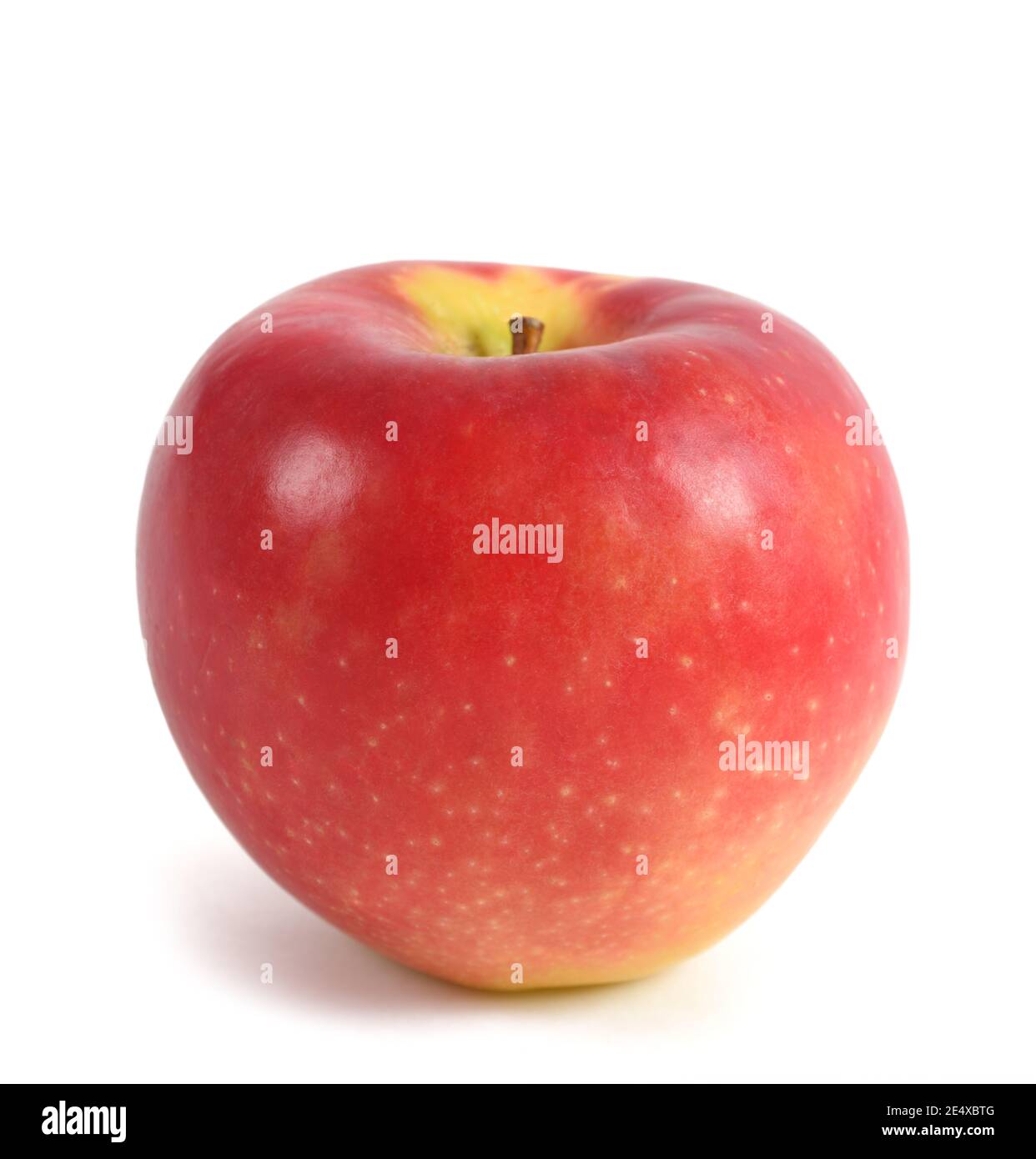 Apple rosso isolato su sfondo bianco Foto Stock