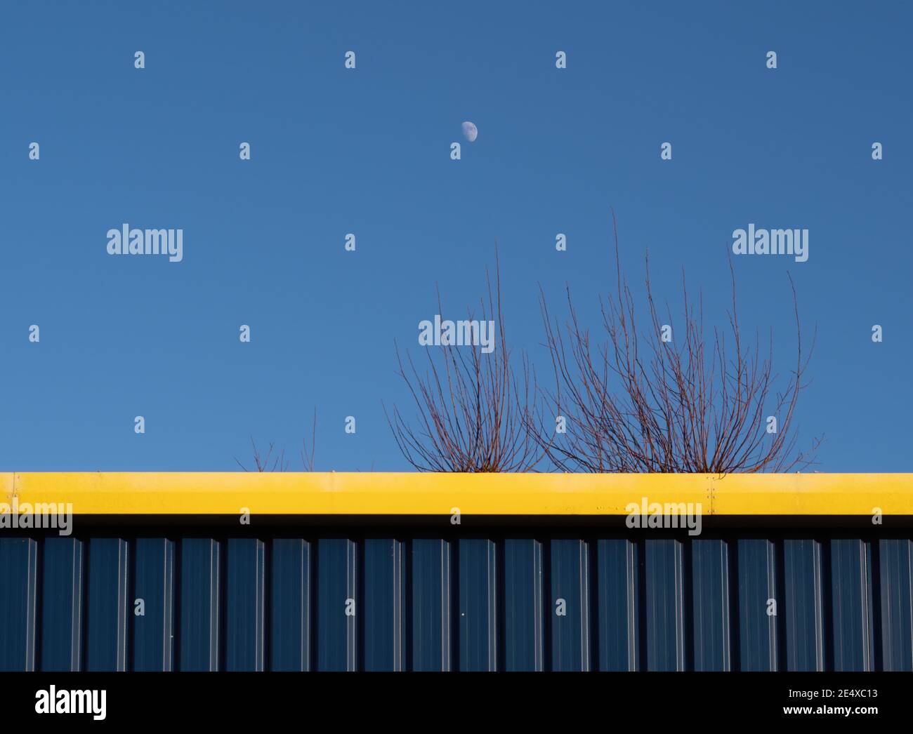 Edificio industriale con piante, cielo e luna - sfondo. Foto Stock