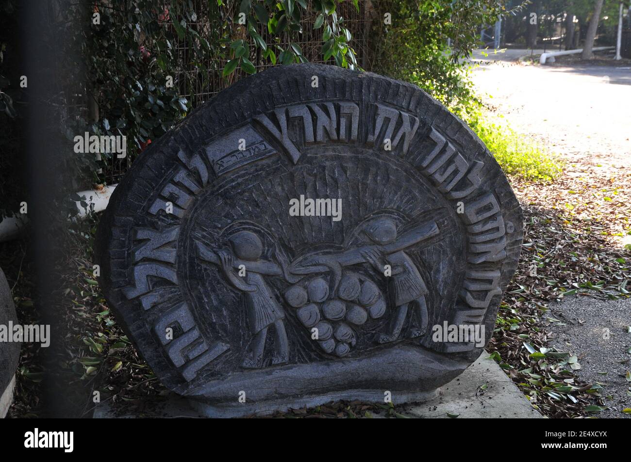 Eli Cohen Trail, Golan Heights, Israele. Eliyahu ben-Shaul Cohen, comunemente noto come Eli Cohen, era una spia israeliana. È meglio conosciuto per il suo spionaggio w Foto Stock