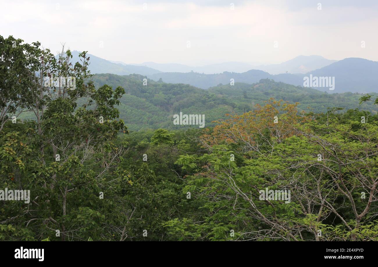 Vista sulla natura a Phuket, Thailandia Foto Stock