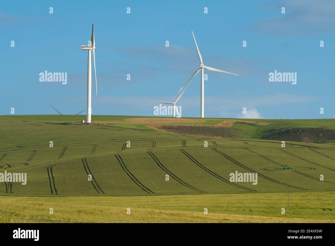 Parco eolico su terreno agricolo che mostra turbine eoliche nella regione di Overberg, Capo Occidentale, Sud Africa concetto di energia rinnovabile verde in Africa Foto Stock