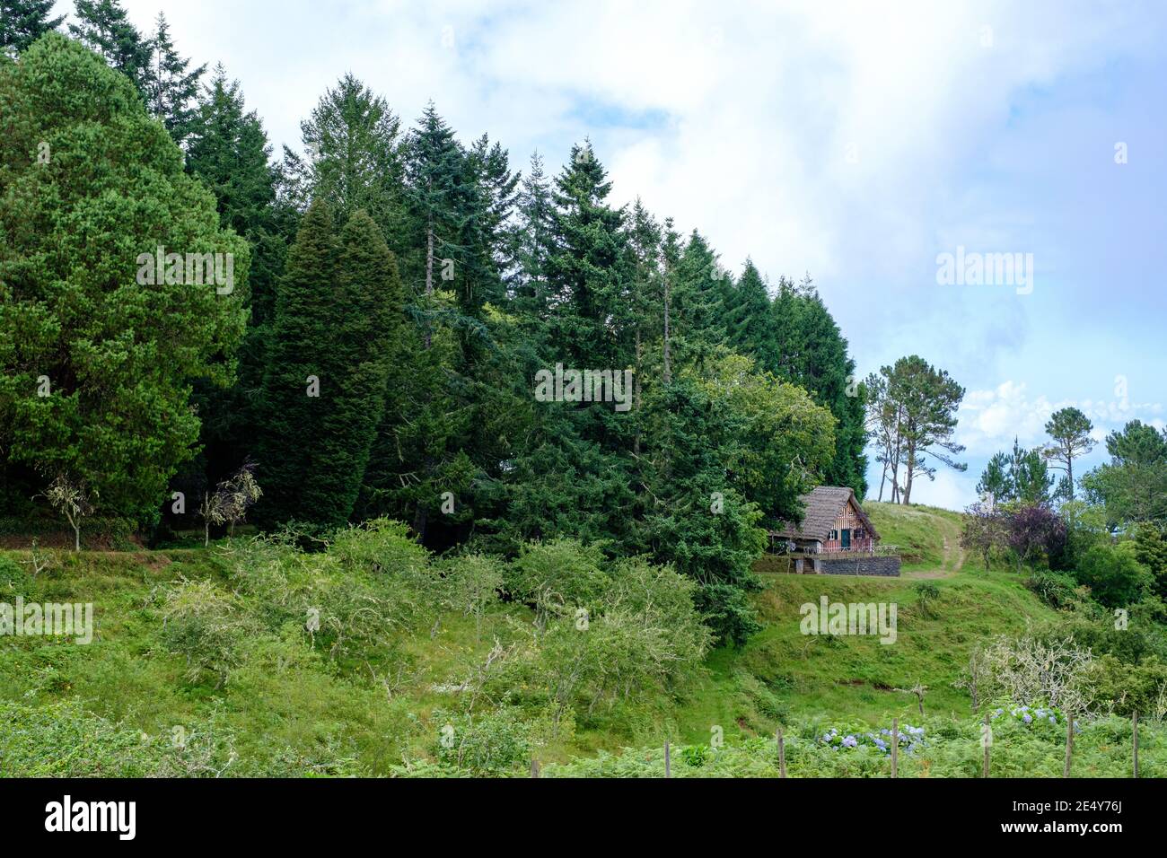 Tipica casa dell'isola di madeira in una forma triangolare nel mezzo di alberi giganti dai boschi selvaggi Foto Stock