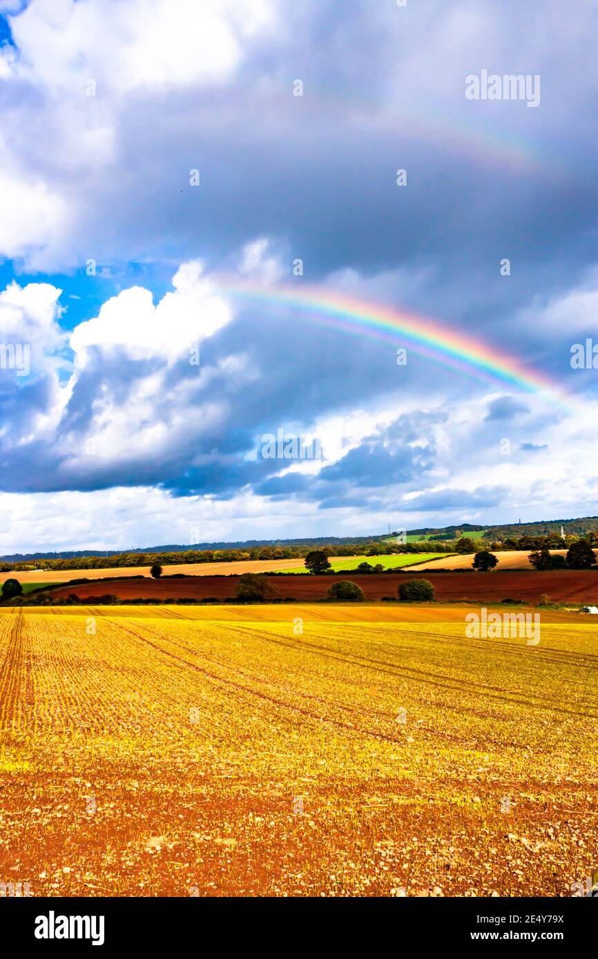 Un arcobaleno in un cielo blu sopra terra di fattoria. Foto Stock