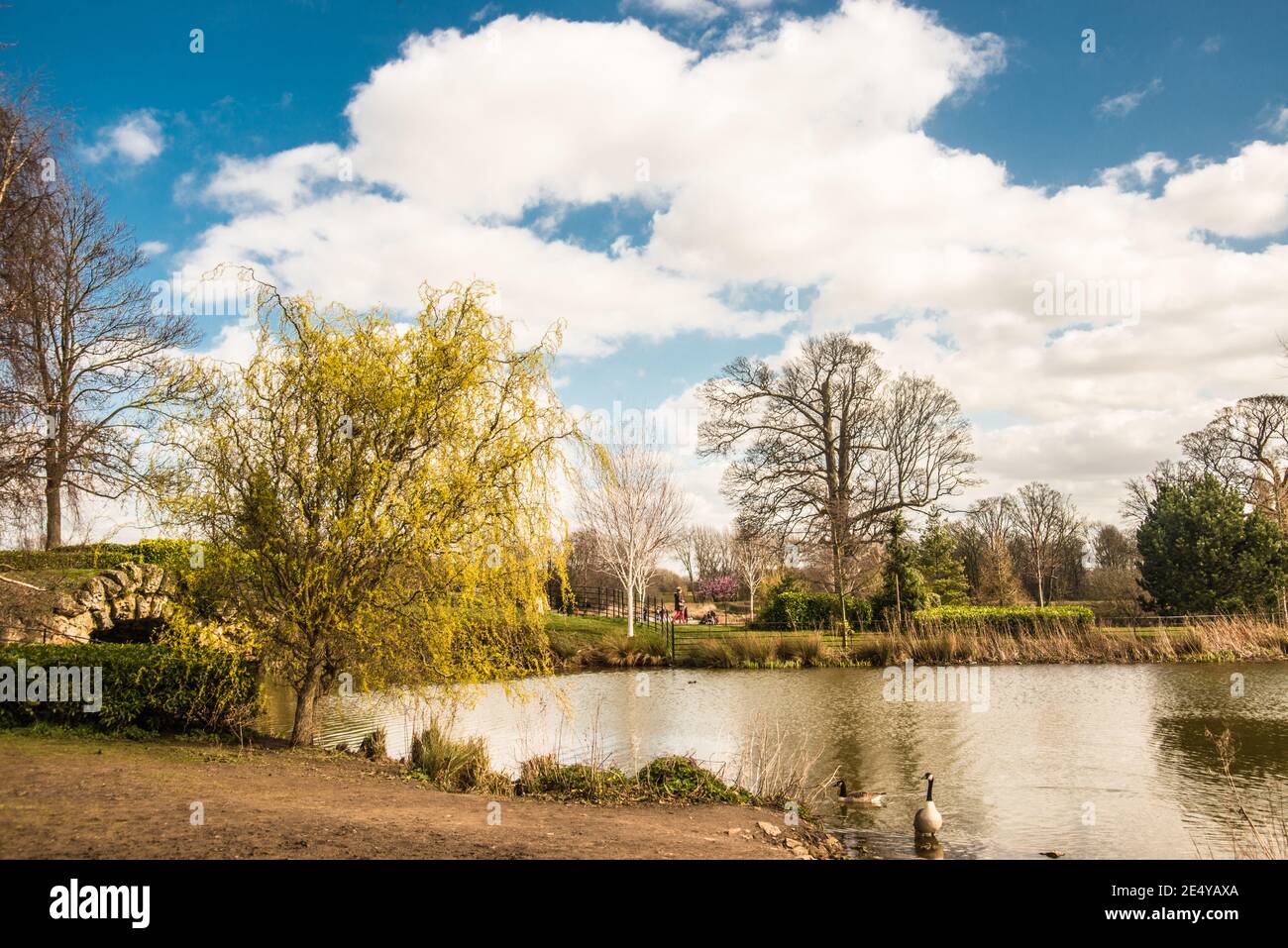 Primavera nello Yorkshire Cusworth Raymond Boswell Foto Stock