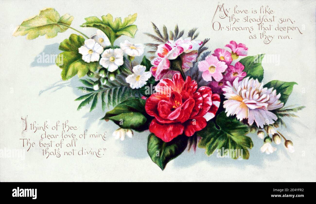 San Valentino Card Foto Stock