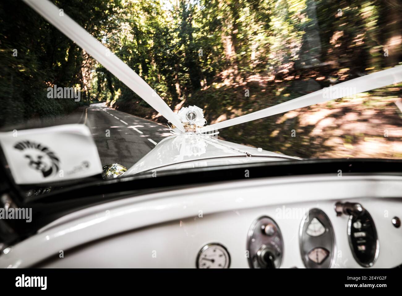 Auto da sposa con nastri che guidano giù per la corsia di campagna alla velocità nastro bianco classico vecchio veicolo interno girato attraverso il parabrezza anteriore in crema di lusso Foto Stock