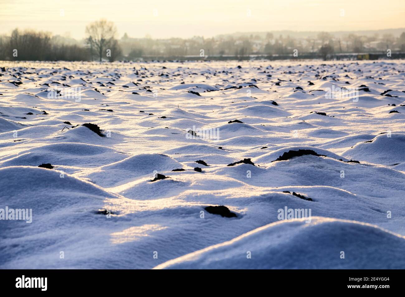 Grande terreno agricolo aperto coperto con neve con terreno aratro in inverno, come in collina Foto Stock