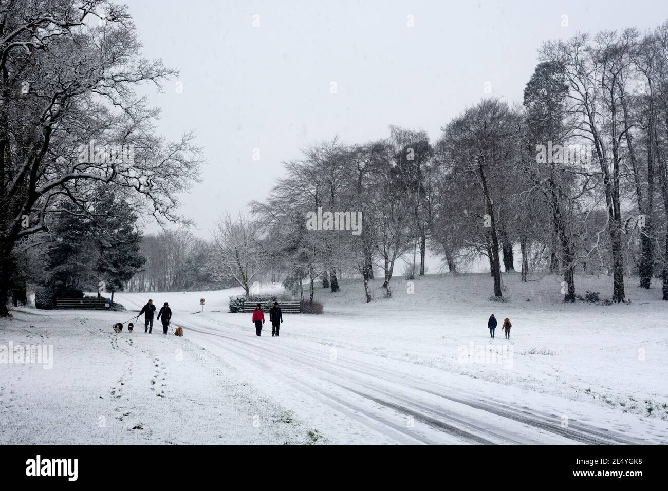 Persone che camminano in tempo nevoso durante il blocco pandemico, Warwickshire, Regno Unito. Gennaio 2021. Foto Stock