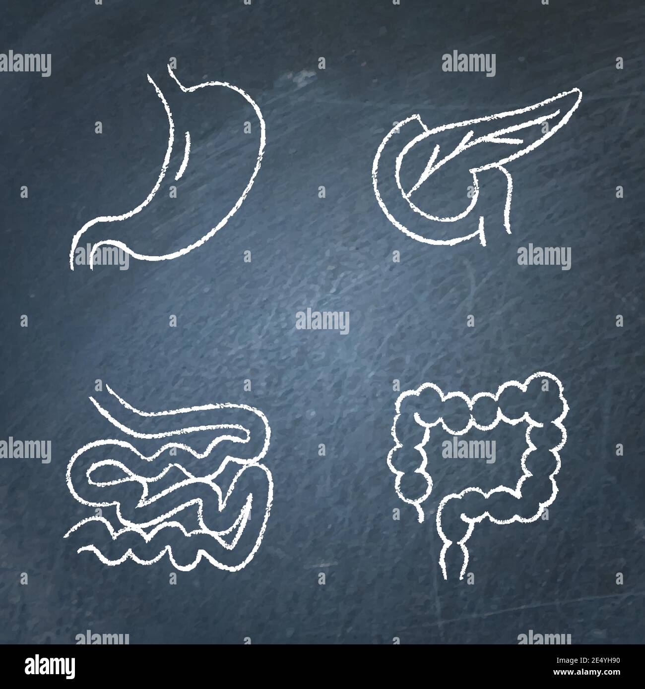Schizzo dell'icona del sistema digestivo sulla lavagna. Piccoli e grandi intestini, stomaco e pancreas simboli. Organi interni umani. Illustrazione vettoriale. Illustrazione Vettoriale