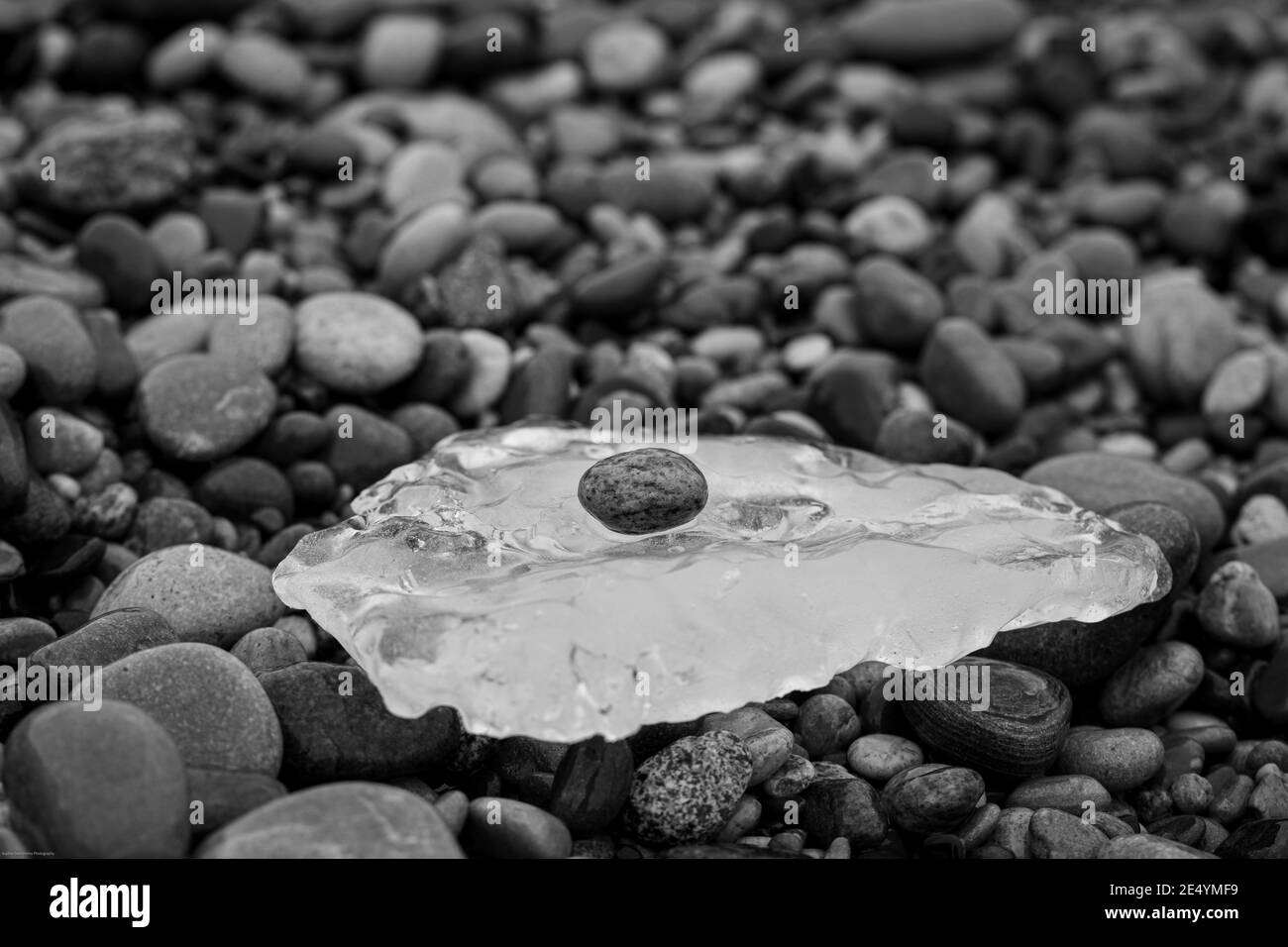 Una piccola roccia precariosamente arroccata su ghiaccio in nero e. bianco Foto Stock