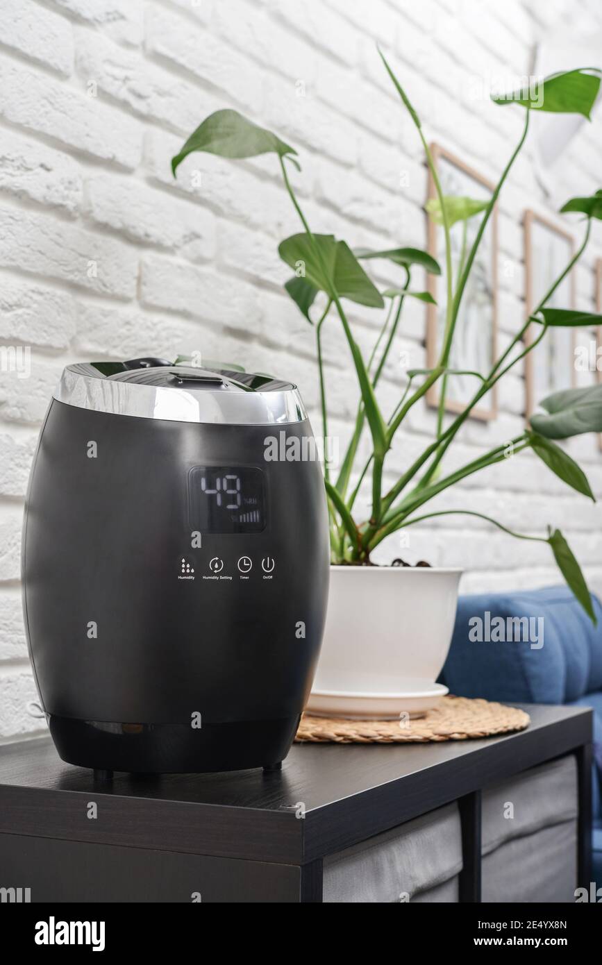 Umidificatore a nebbia fredda a ultrasuoni per la casa su un piccolo tavolo in soggiorno Foto Stock
