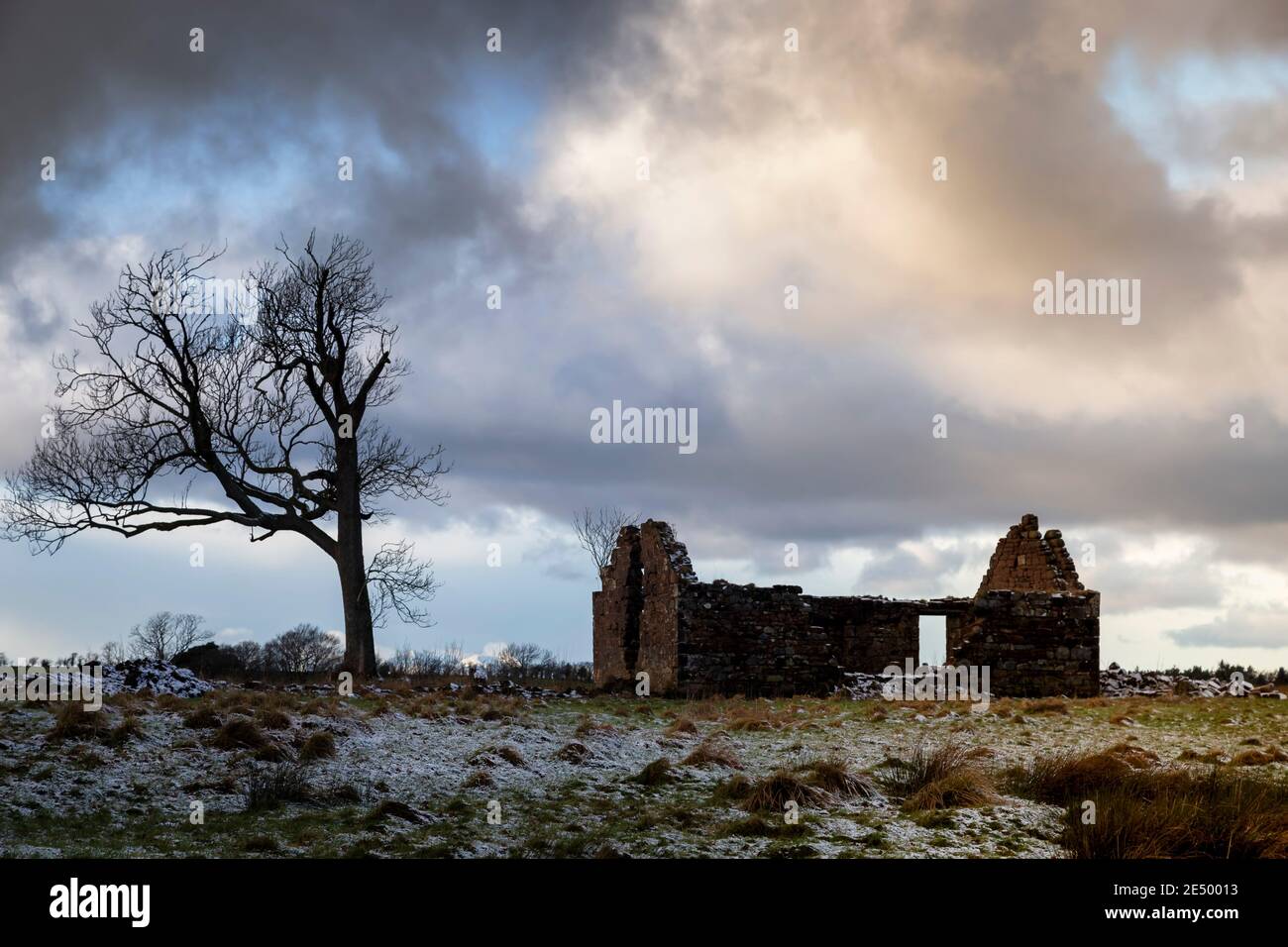 Rovina e silhouette di alberi in Scozia Foto Stock