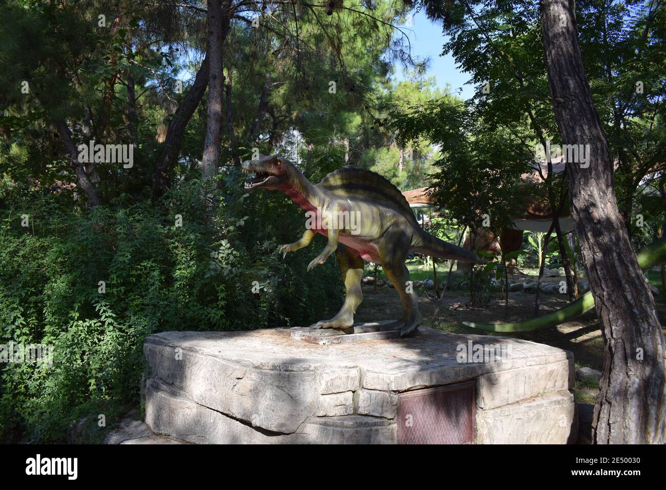 Statua di dinosauro nel parco forestale in natura per sfondo. Modello realistico di Spinosaurus - dinosauro carnivoro grande all'aperto nella natura. Dinopark Foto Stock