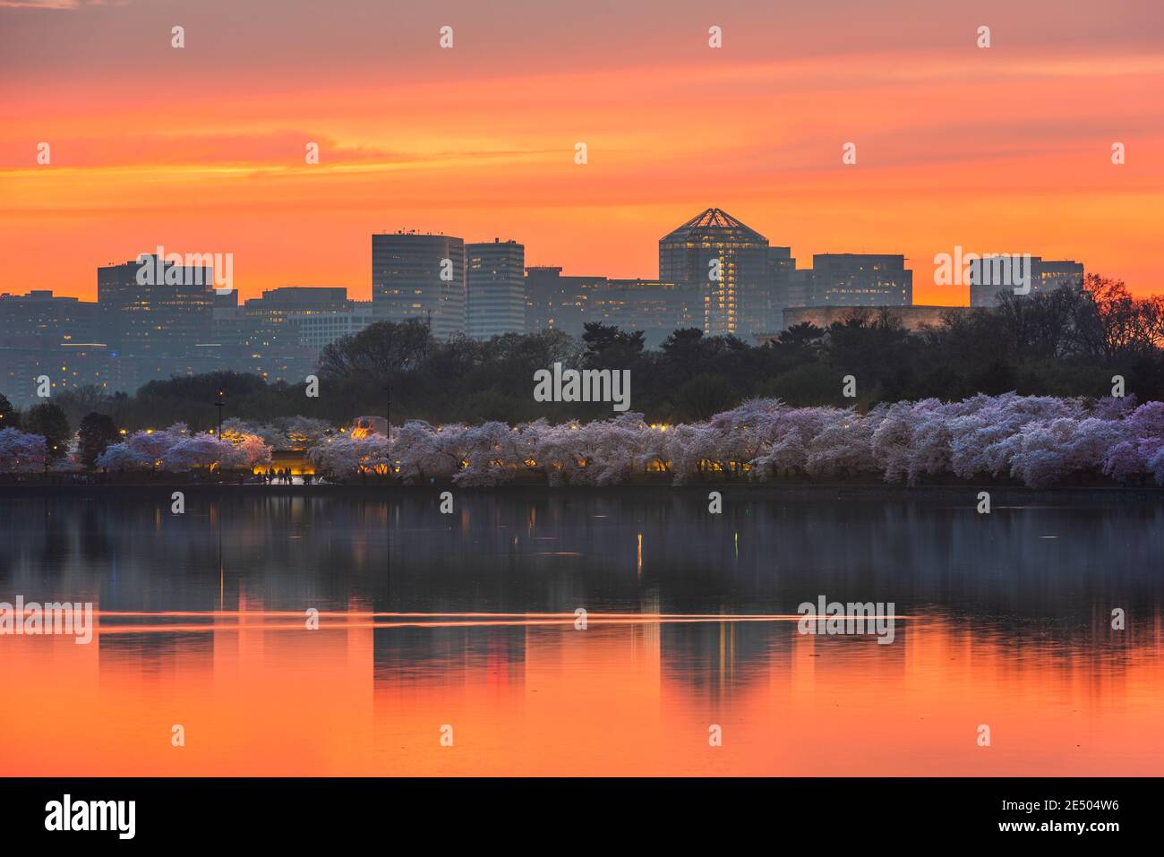 Vista di Rosslyn, Arlington, Virginia, USA dal bacino di marea a Washington DC al tramonto durante la stagione primaverile. Foto Stock