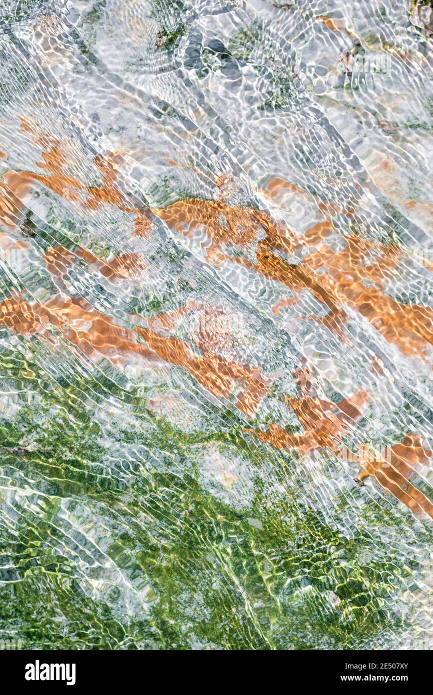 Organismi termofili in acque calde poco profonde a Norris Geyser Basin, Yellowstone National Park, Wyoming, USA Foto Stock