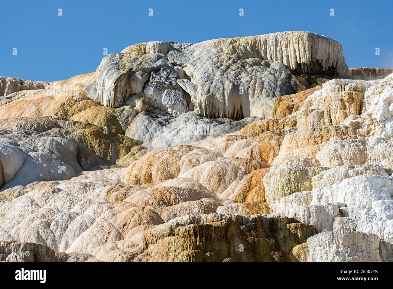 Mammoth Hot Springs, il Parco Nazionale di Yellowstone, Wyoming USA Foto Stock