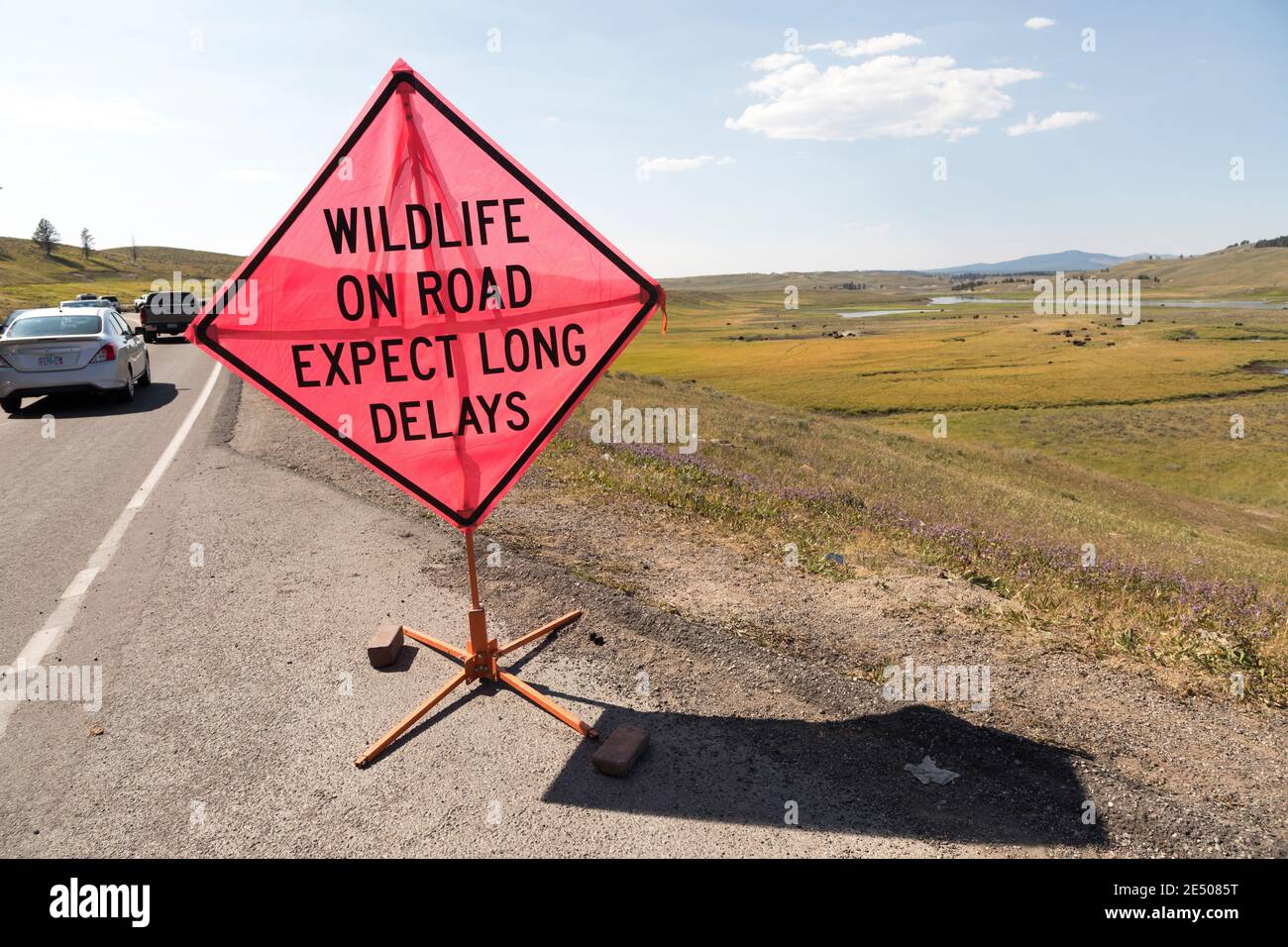 La fauna selvatica su strada si aspetta lunghi ritardi segno vicino Bison in Hayden Valley, Yellowstone National Park, Stati Uniti Foto Stock