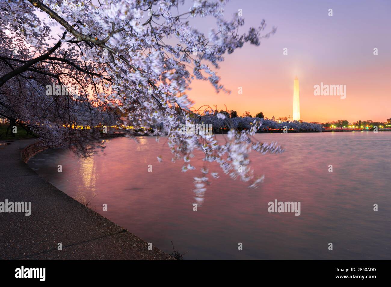 Washington DC; USA al bacino delle maree con Washington Monument nella stagione primaverile. Foto Stock