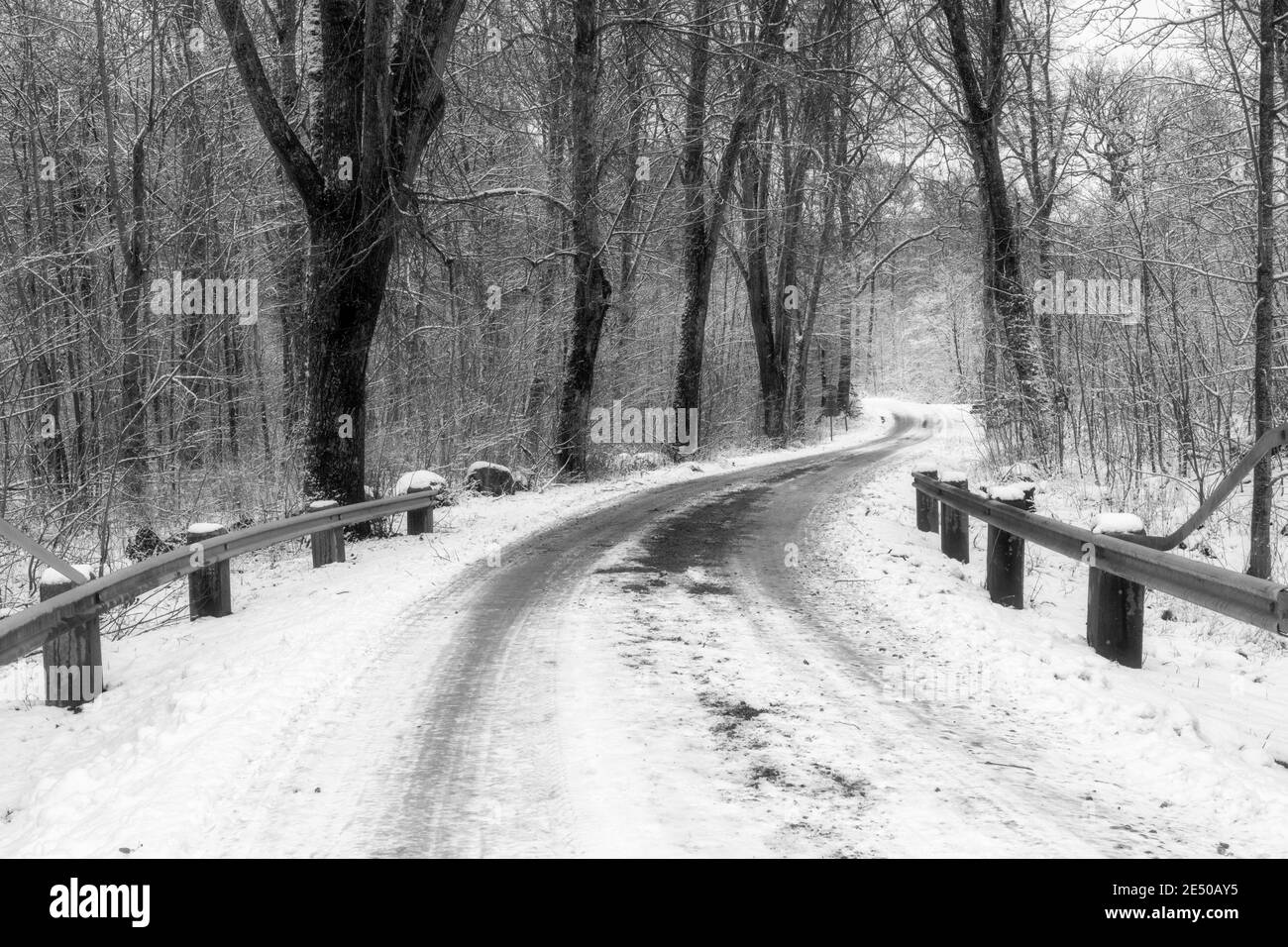 Una foto in bianco e nero di una strada invernale ghiacciata e nevosa che attraversa una foresta. Foto di Eslov, Svezia meridionale Foto Stock