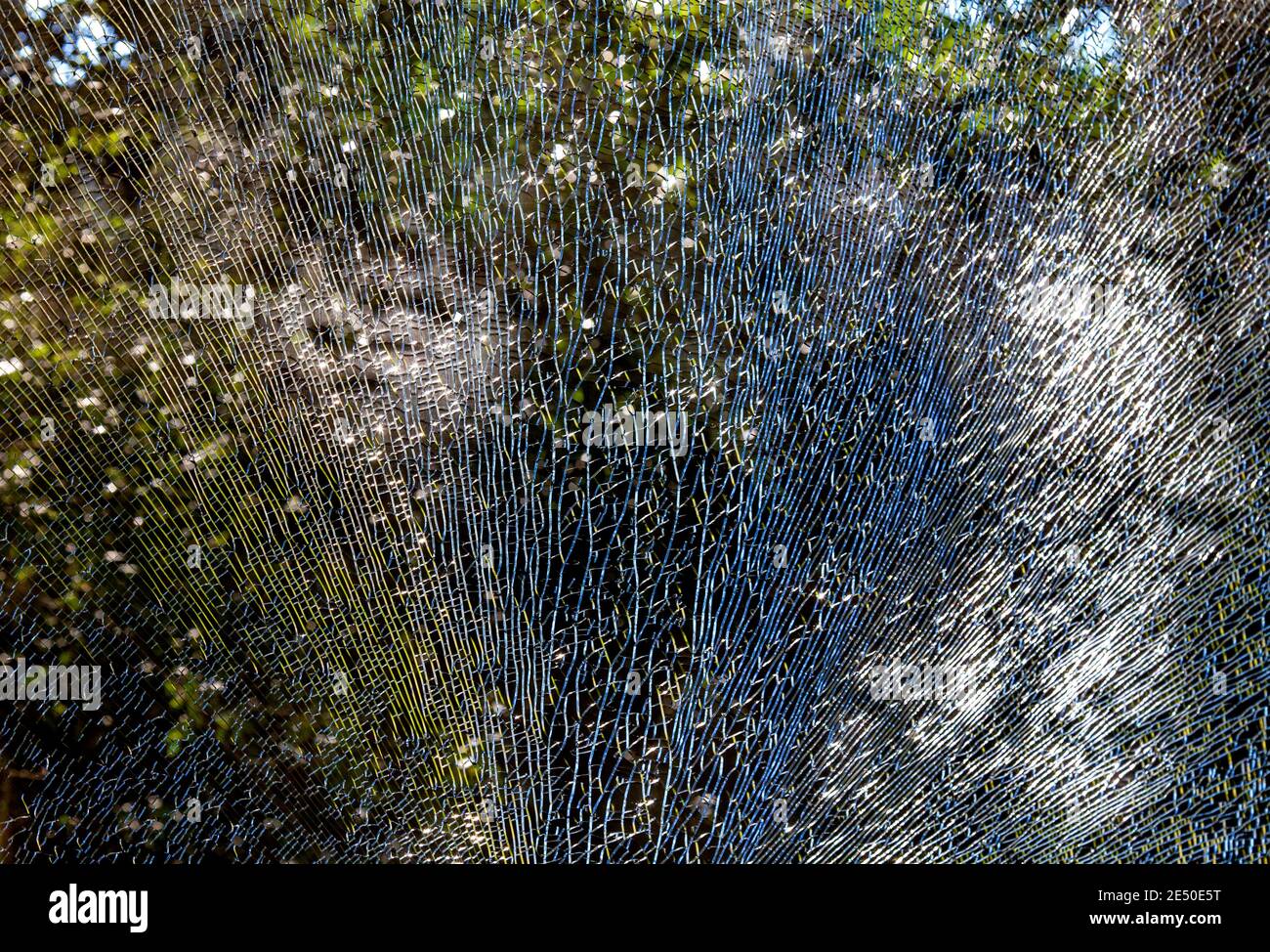 Shattered Glass Foto Stock