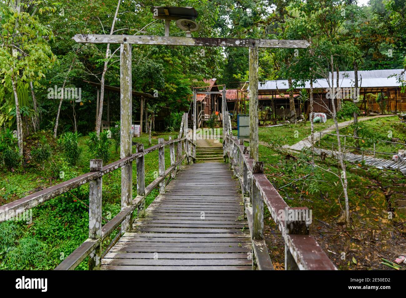 Ponte di legno che va al villaggio di Nanga Sumpa IBAN Foto Stock