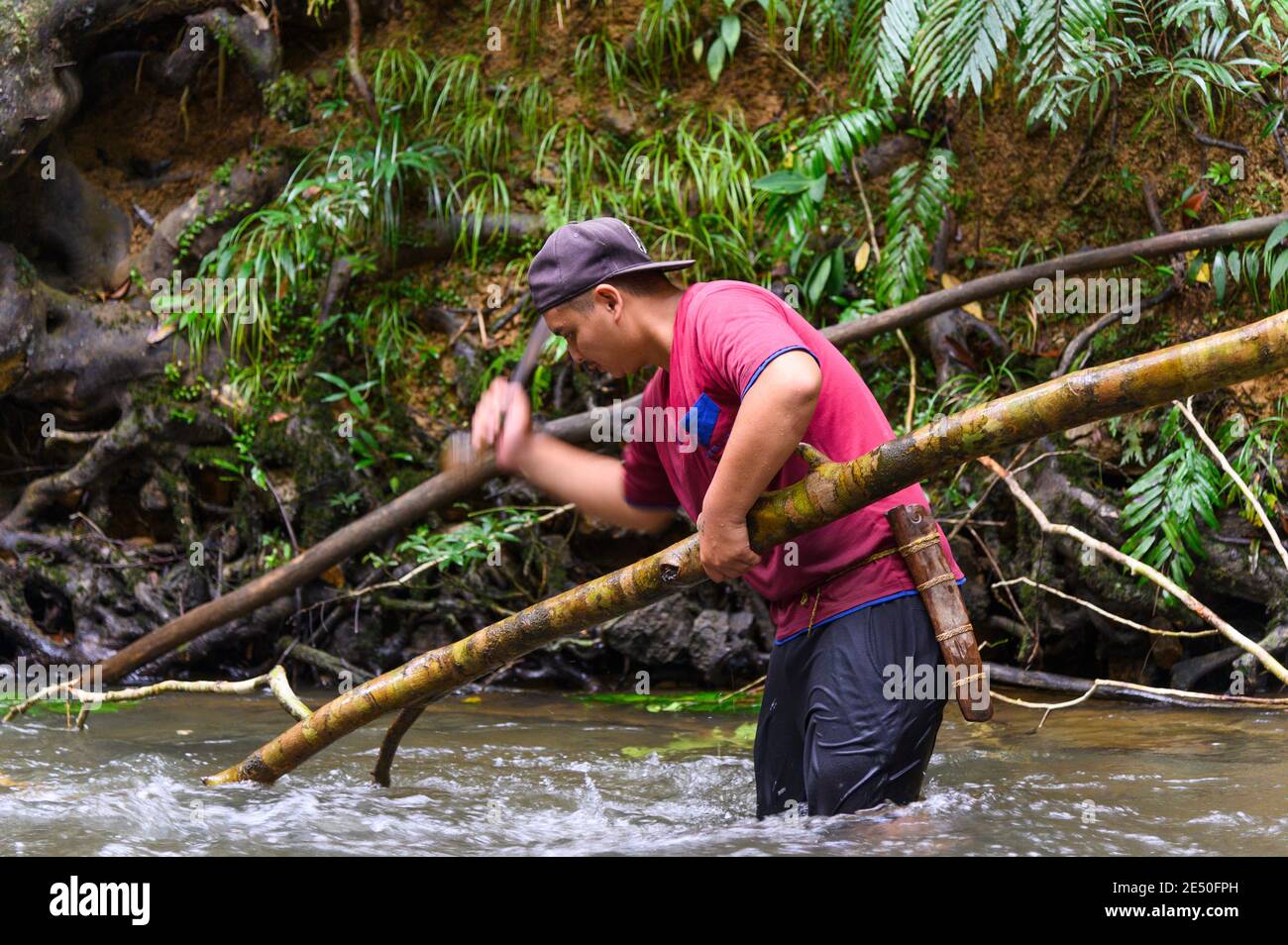 IBAN uomo taglio legno con un machete nel fiume Foto Stock