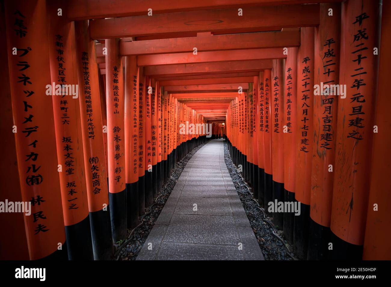 Interno di un tunnel votivo composto da una serie di torii in legno rosso incisi con preghiere kanji nere Foto Stock