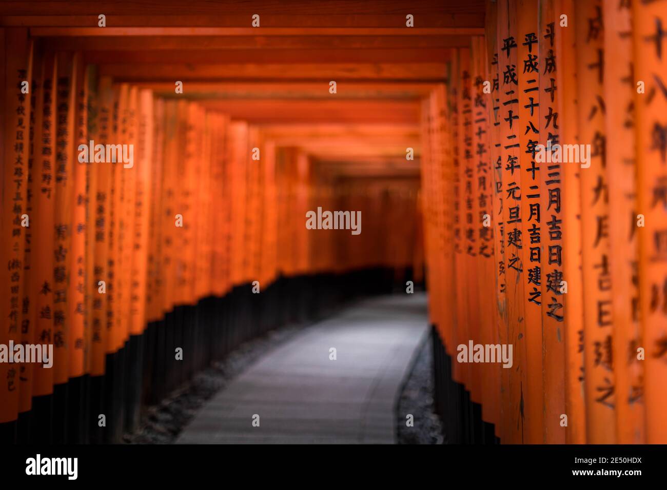 Interno di un tunnel votivo composto da una serie di torii in legno rosso incisi con preghiere kanji nere Foto Stock