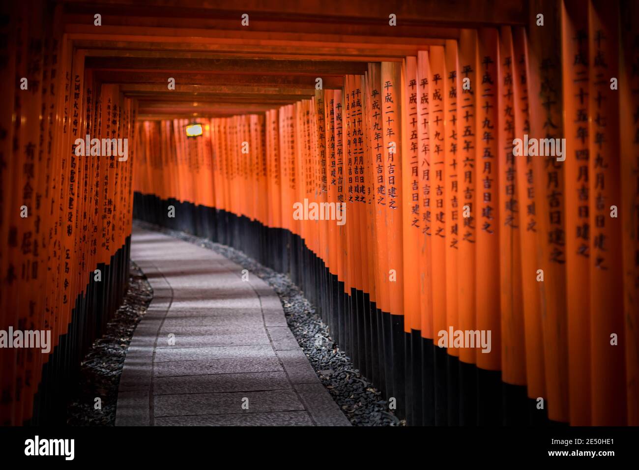 Interno di un tunnel votivo composto da una serie di torii in legno rosso incisi con preghiere kanji nere Foto Stock
