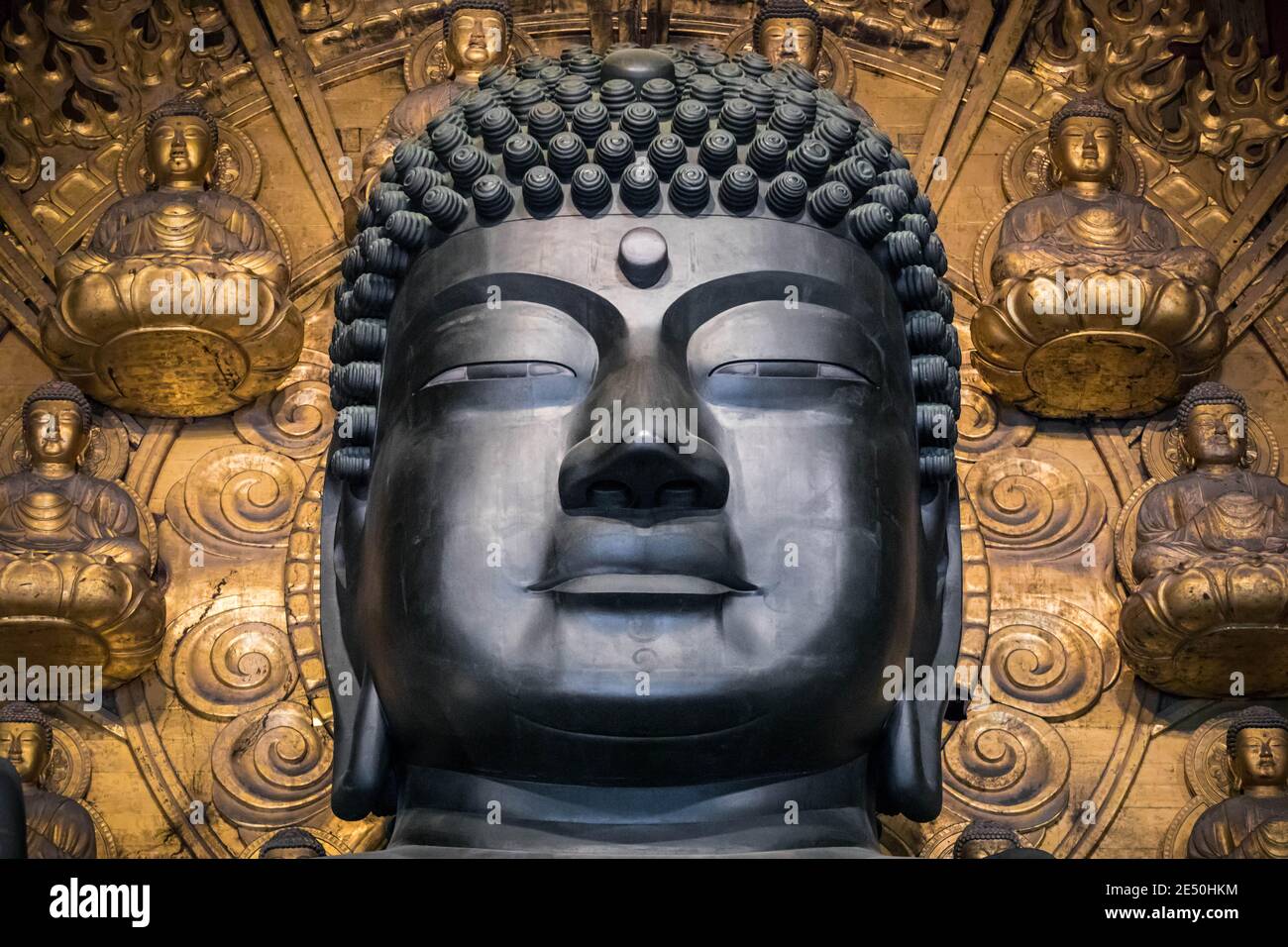 Vista ravvicinata simmetrica dell'enorme statua in bronzo del Buddha All'interno del tempio Todai-ji a Nara Foto Stock