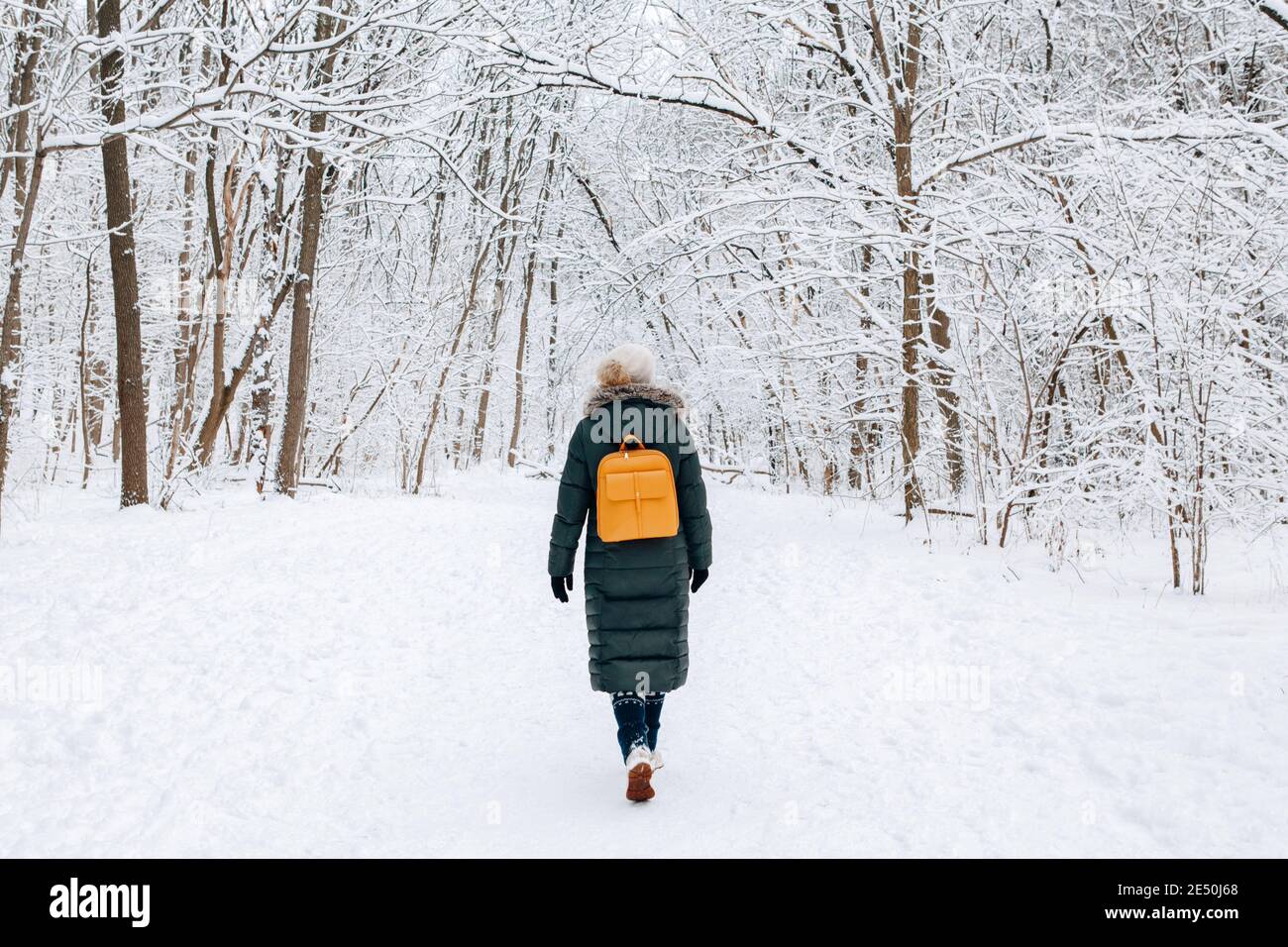 Donna in giacca verde blu parka abiti invernali e cappello a piedi vagando nel parco foresta all'aperto nella neve giorno invernale. Solo viaggiatore esplorando locale pl Foto Stock