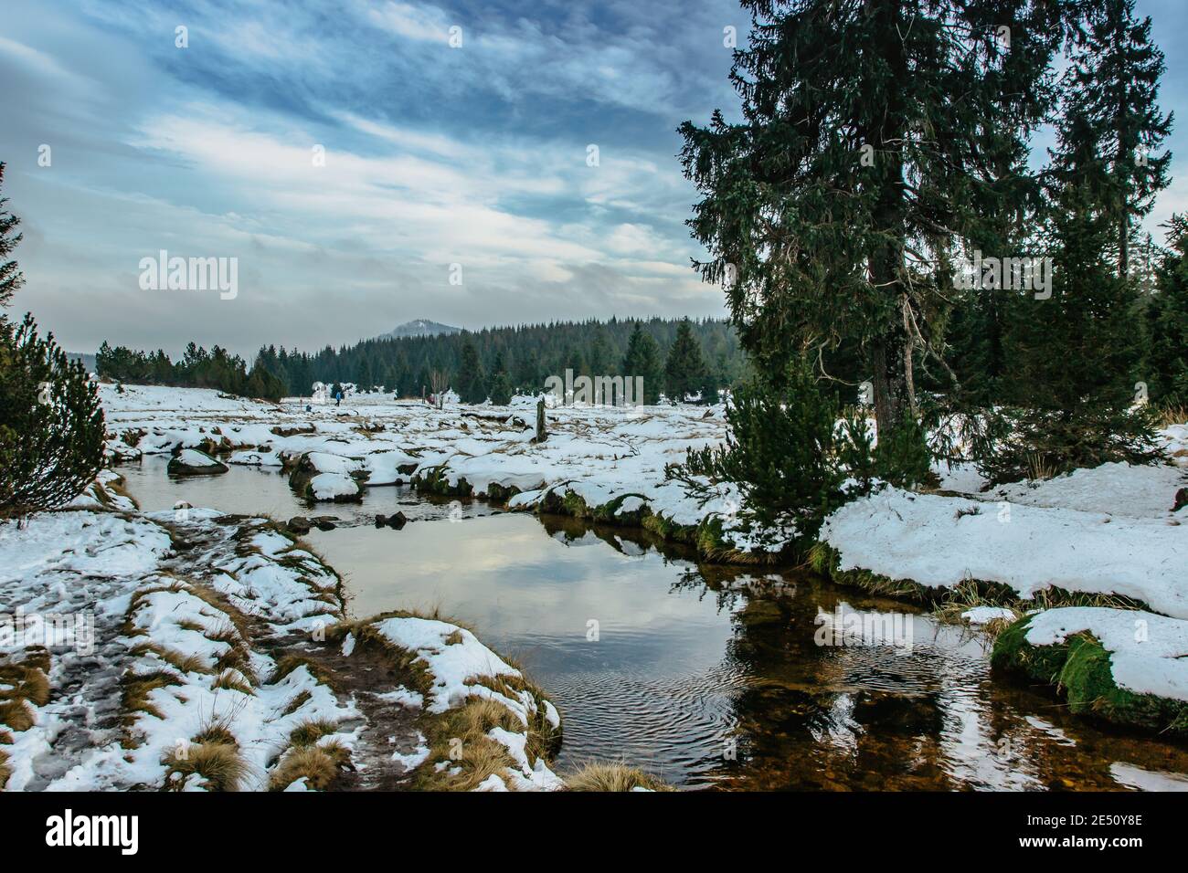Vista invernale del paesaggio montano, del fresco ruscello freddo e del grande prato all'insediamento di Jizerka, repubblica Ceca. Natura invernale in torbida day.Peat Foto Stock
