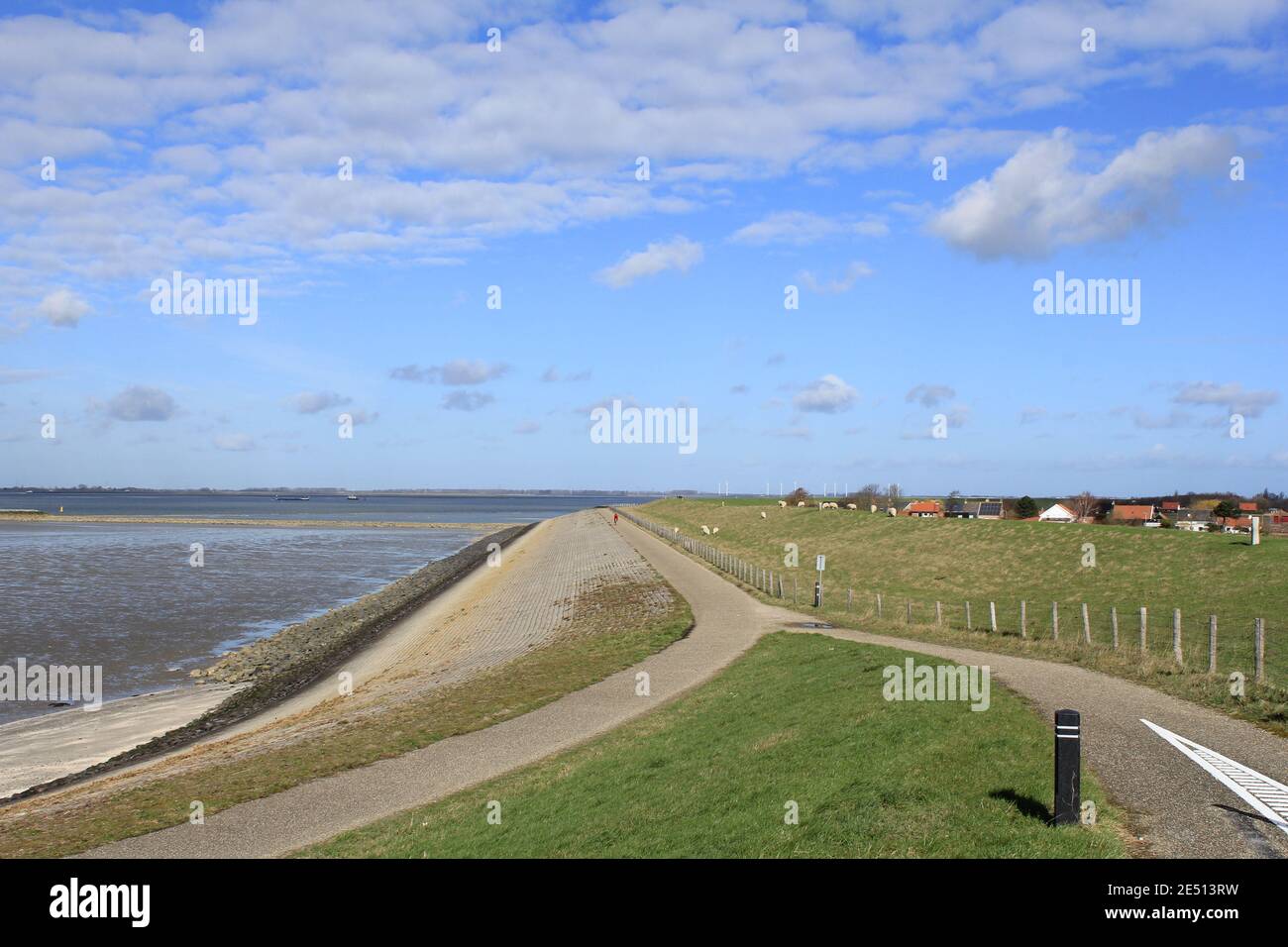 vista aerea della costa olandese in zelanda con la diga del mare lungo il fiume schelda in zelanda, paesi bassi in estate Foto Stock