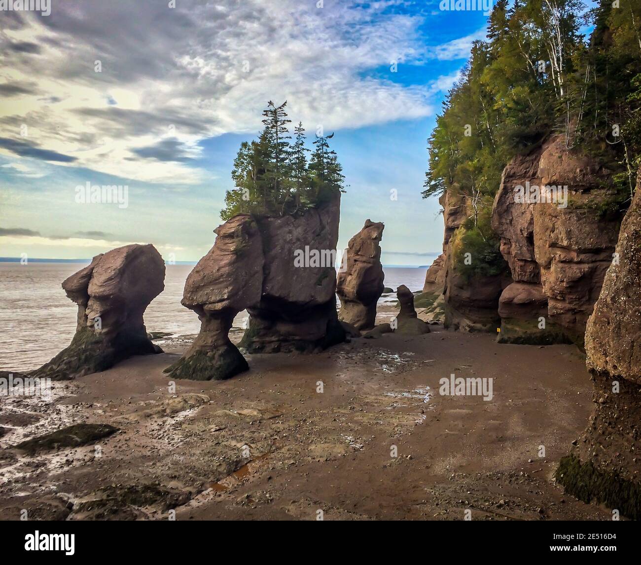 Hopewell Rocks Park in Canada, situato sulle rive della Baia di Fundy presso l'Oceano Atlantico settentrionale Foto Stock