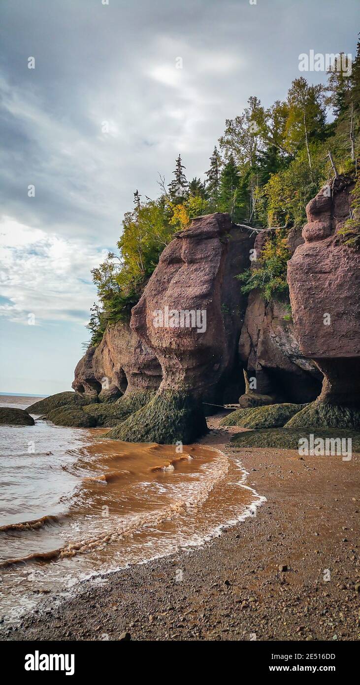 Hopewell Rocks Park in Canada, situato sulle rive della Baia di Fundy presso l'Oceano Atlantico settentrionale Foto Stock