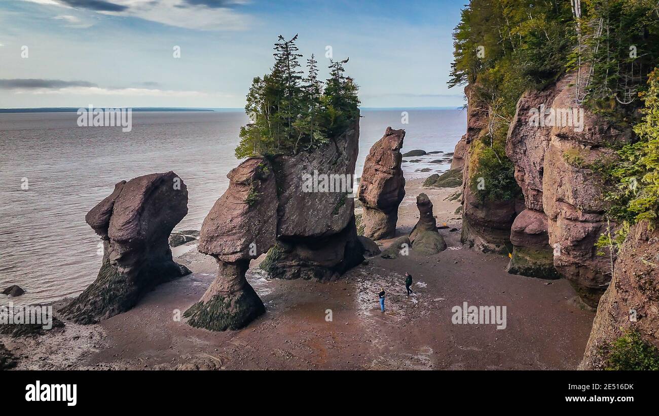 Hopewell Rocks Park in Canada, situato sulle rive della Baia di Fundy presso l'Oceano Atlantico settentrionale Foto Stock