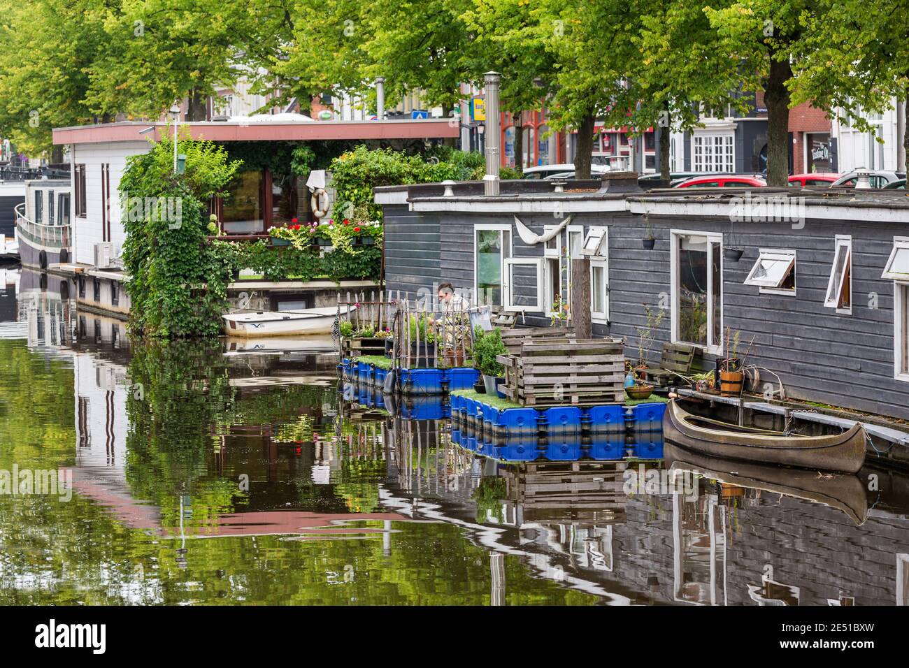 Una fila di barche a Groningen, fiancheggiata da un canale sotto lussureggianti alberi verdi Foto Stock