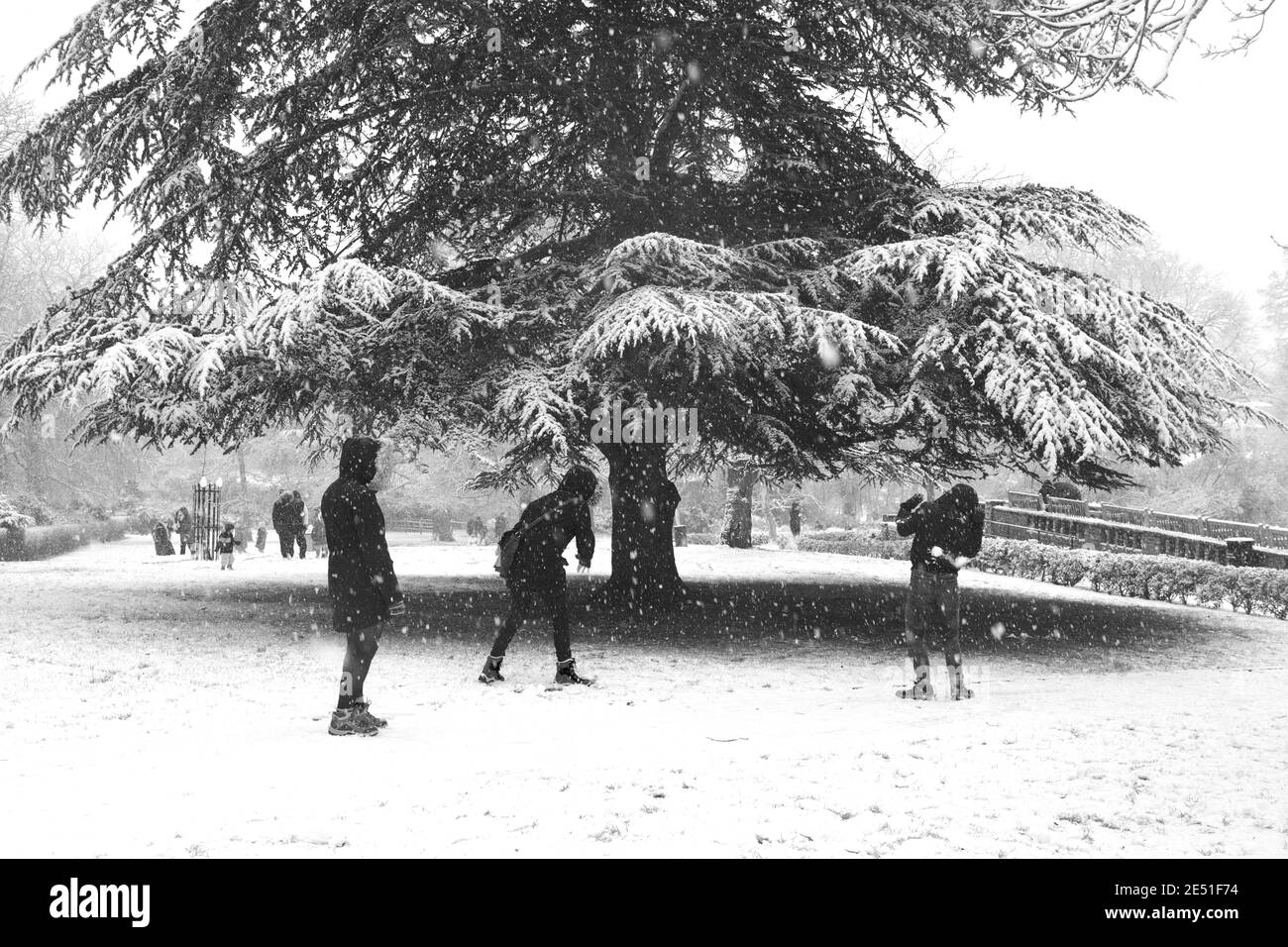 le ragazze che hanno la palla di neve combattono nei giardini di horniman Foto Stock