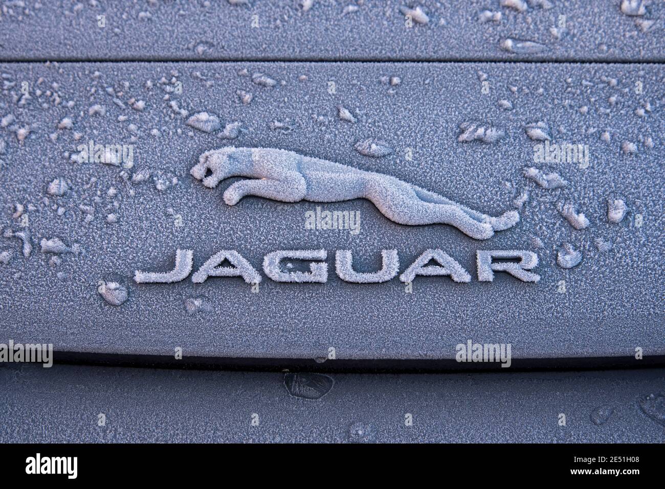 Gelo sul logo di una vettura Jaguar. Foto Stock