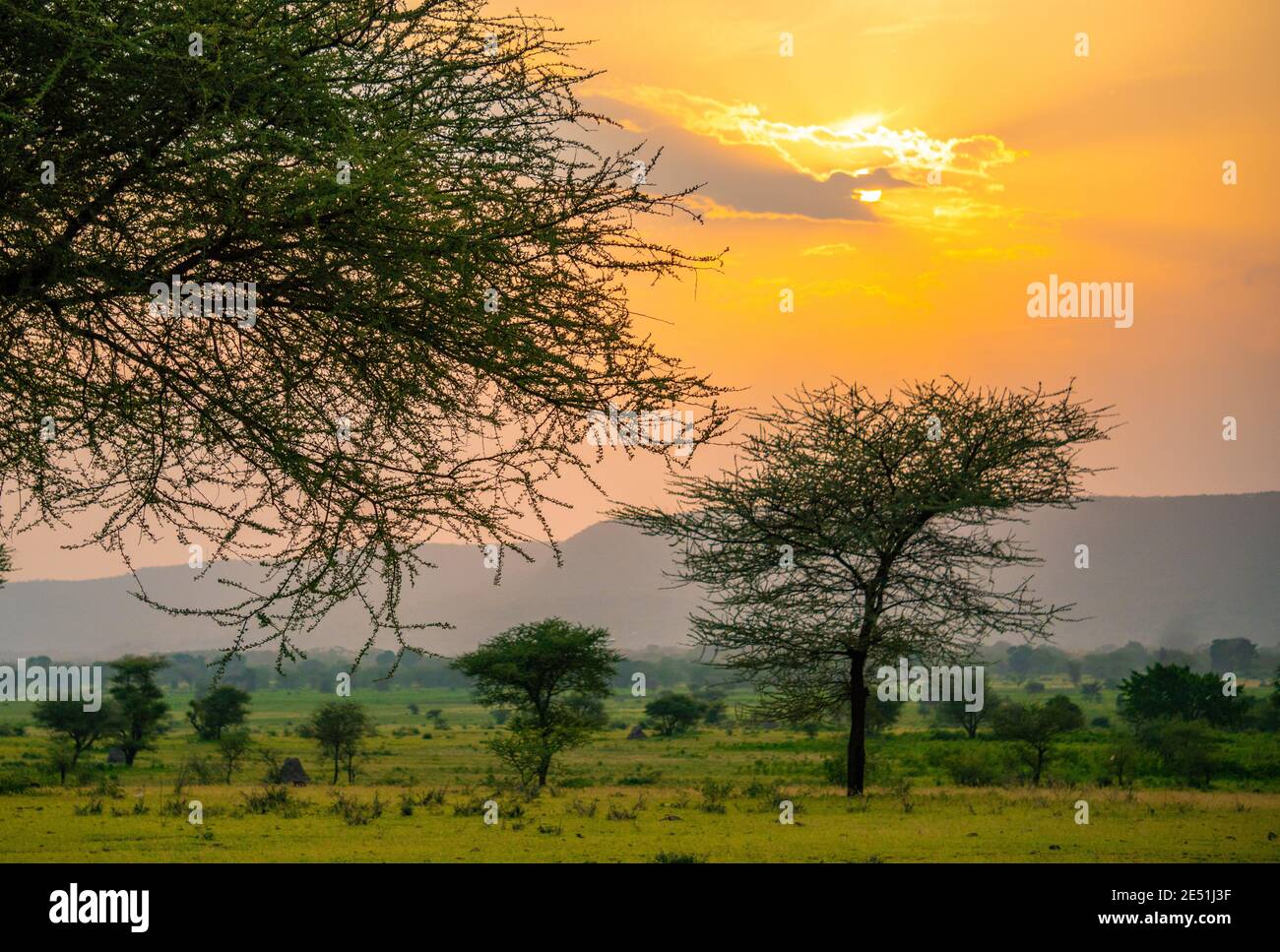 Spettacolare tramonto di Ngoro Ngoro sulla macchia africana Foto Stock