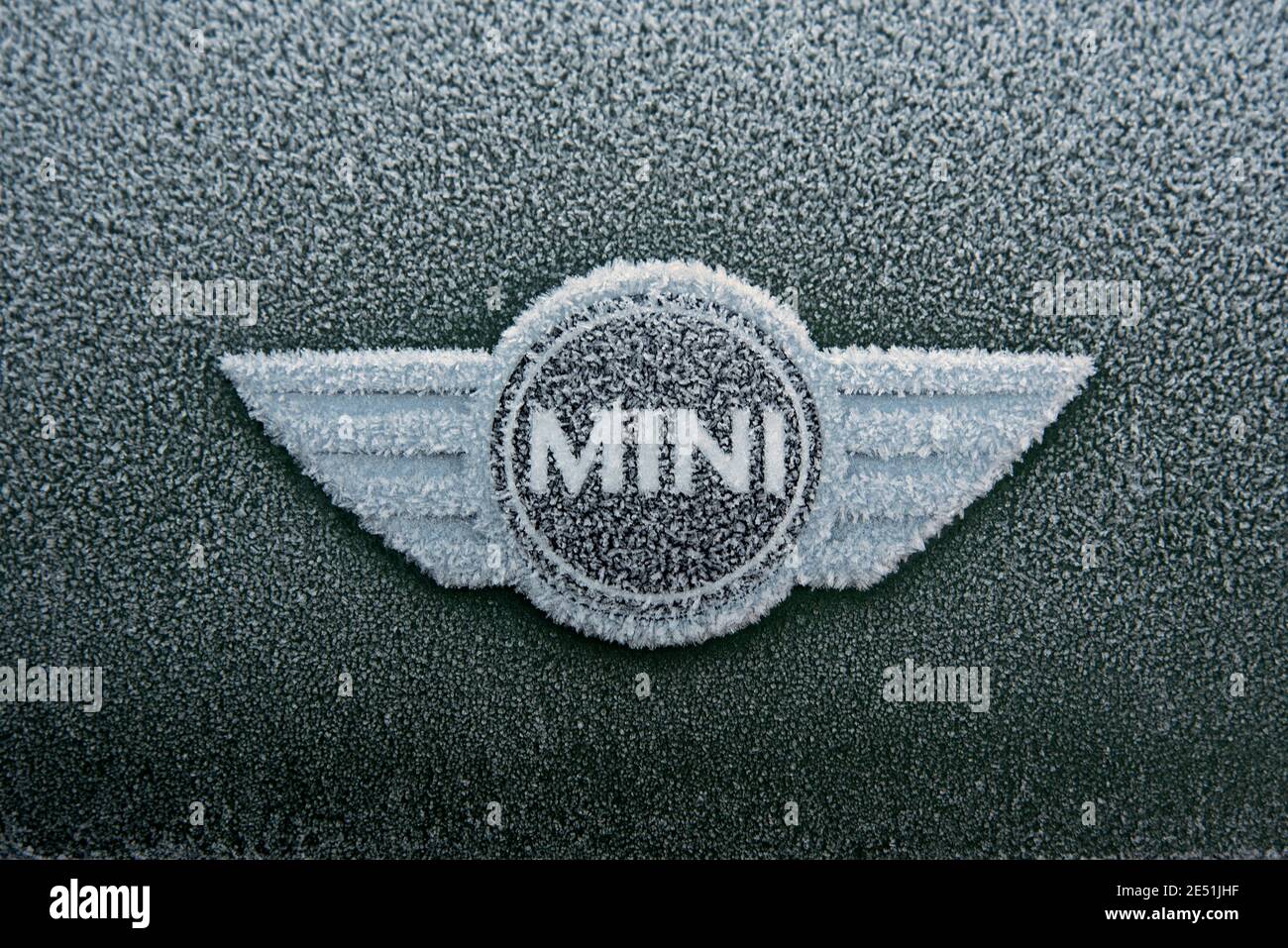 Gelo sul badge di un Mini Cooper. Foto Stock